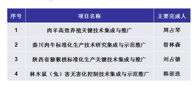 科技推广新引擎 软件开发赋能数字化转型与创新未来